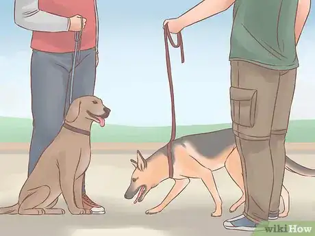 Image titled Choose a Second Dog Step 11