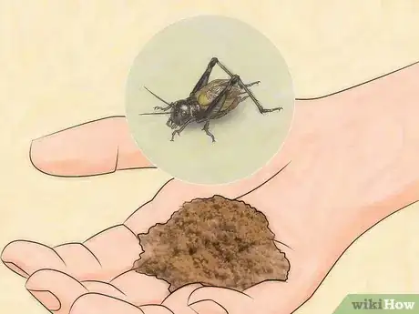 Image titled Eat an Insect or Arachnid Step 16