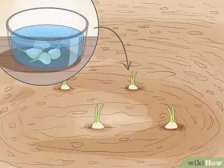 Image titled Regrow Vegetables Step 13