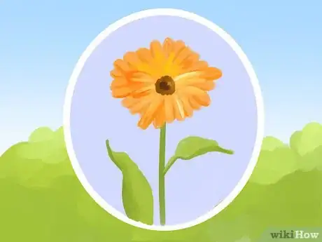 Image titled Plant a Deer‐Resistant Garden Step 13