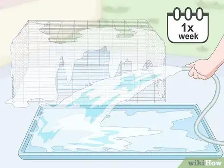 Image titled House a Pet Guinea Pig Step 16