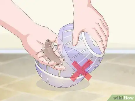 Image titled Exercise Your Gerbil Step 12