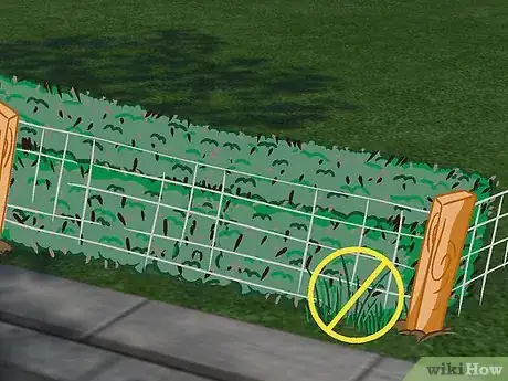 Image titled Plant a Beech Hedge Step 20