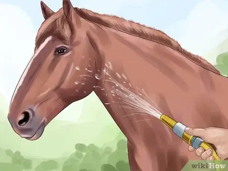 Image titled Care for a Draft Horse Step 11