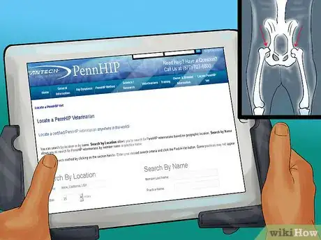 Image titled Perform Pre‐Breeding Health Checks for Dogs Step 9