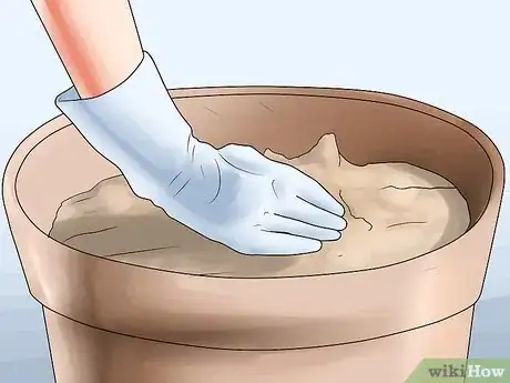 Image titled Grow Clematis in Pots Step 9