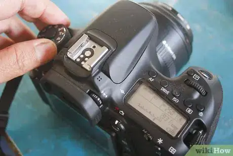 Image titled Make Cute Pictures of Your Hamster Step 6