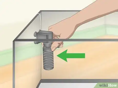 Image titled Build a Freshwater Predator Fish Aquarium Step 2