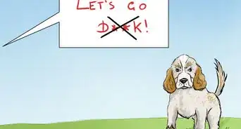 Choose a Name for a Pet