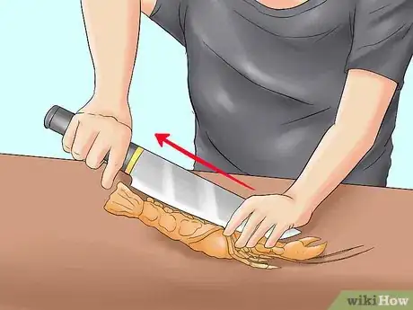 Image titled Catch a Crayfish Step 6