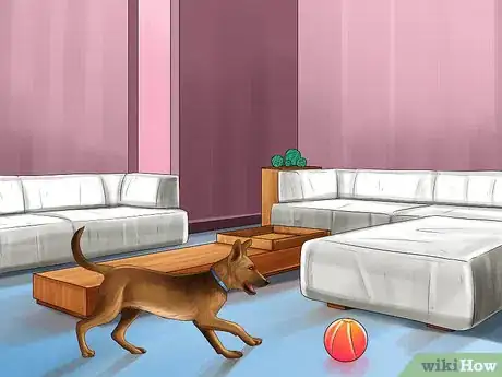 Image titled Rehome a Rescue Dog Step 10