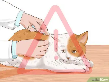 Image titled Choose Between Oral and Topical Flea Preventatives Step 10
