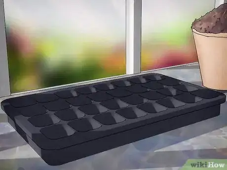 Image titled Grow Plants from Seed Step 3
