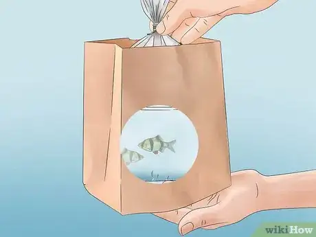 Image titled Acclimate Your Fish to a New Aquarium Step 11