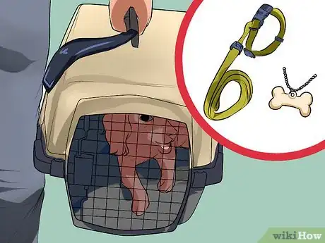 Image titled Care for a Recently Rehomed Dog Step 7