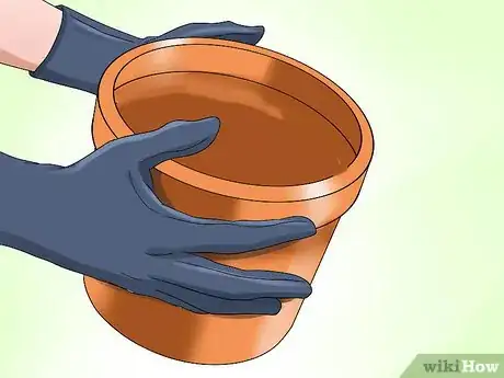 Image titled Grow Great Herbs Step 2