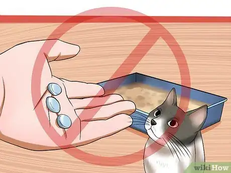 Image titled Resolve Cat Litter Tray Issues Step 13