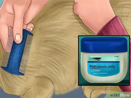 Image titled Prevent Ticks on Cats Step 2