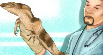 Diagnose Vitamin A Deficiency in Reptiles