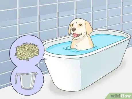 Image titled Treat Seasonal Allergies in Dogs (Home Remedies) Step 1