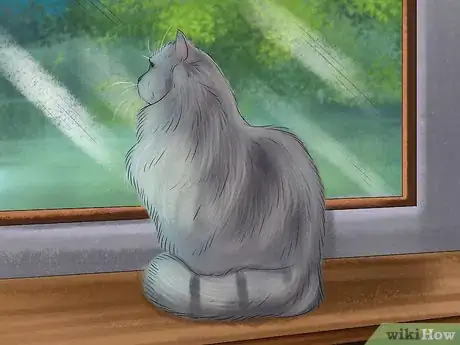 Image titled Prevent Ticks on Cats Step 7