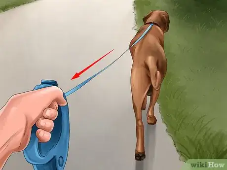 Image titled Know if a Head Halter Is Right for Your Dog Step 12