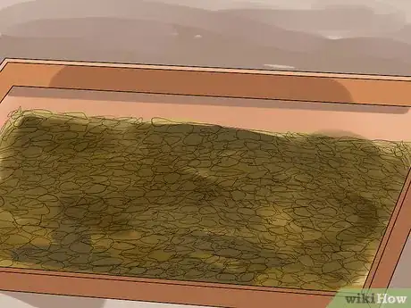 Image titled Introduce a New Guinea Pig to a Community Cage Step 2