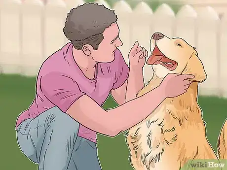 Image titled Involve a Dog in Pet Therapy Work Step 12