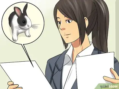Image titled Adopt a Rabbit from a Shelter Step 8