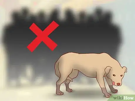 Image titled Educate Yourself As a New Dog Owner Step 10