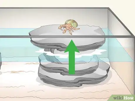 Image titled Care for a Marine Hermit Crab Step 9