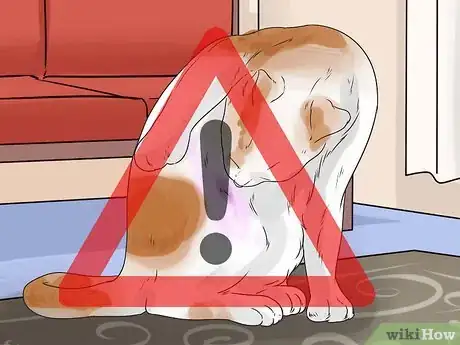 Image titled Dye Your Pet Step 13