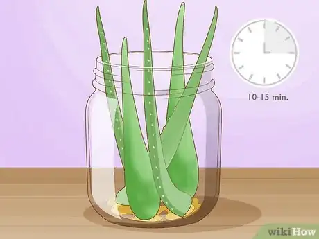 Image titled Keep an Aloe Vera Plant Fresh Step 7
