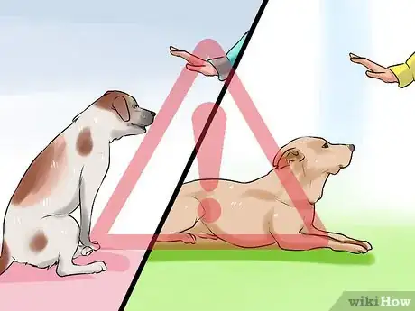 Image titled Modify Tricks Based on an Old Dog's Physical Limitations Step 1