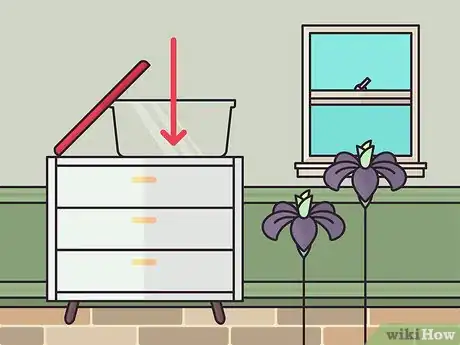 Image titled Store Iris Bulbs Step 7