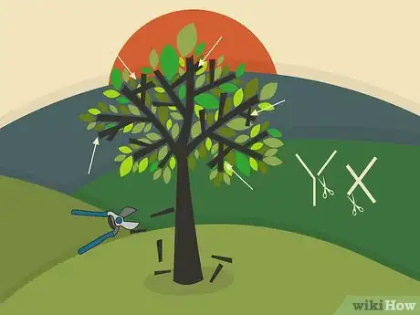 Image titled Prune Walnut Trees Step 09