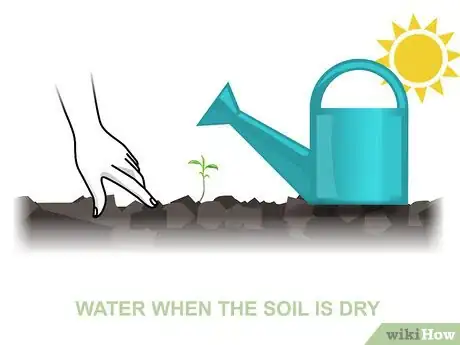 Image titled Grow Vegetables in the West Step 05