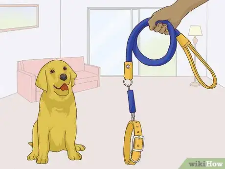 Image titled Get Your Dog Used to a Collar Step 1