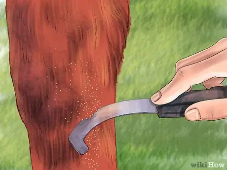 Image titled Prevent Parasites in Horses Step 13