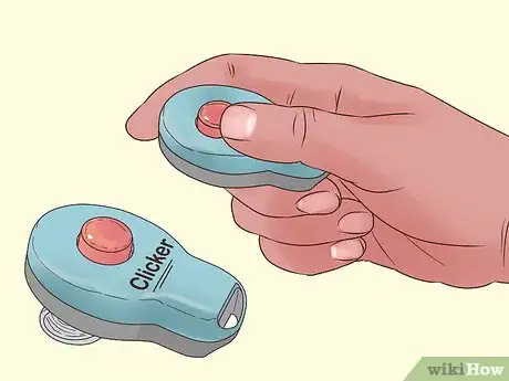 Image titled Play Fetch with a Ferret Step 7