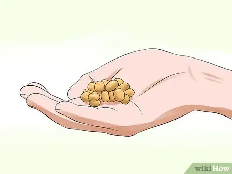 Image titled Catch an Escaped Pet Rat Step 4