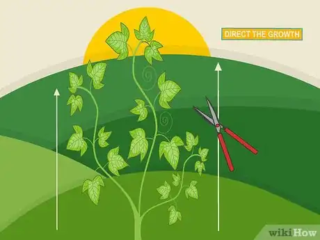 Image titled Prune Organic Plants Step 10