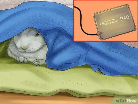 Image titled Get Rabbits Spayed or Neutered Step 10