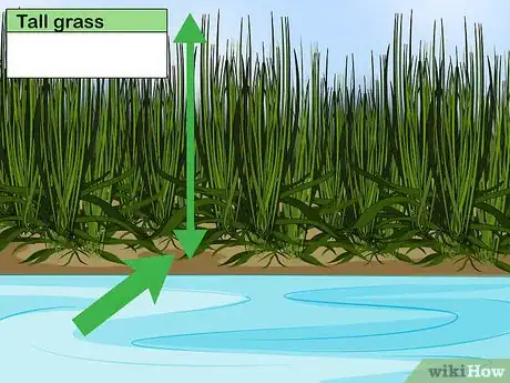 Image titled Design a Waterfront Garden Step 7