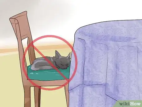 Image titled Dine Out with Your Dog Step 13