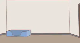 Care for a Pregnant Dog