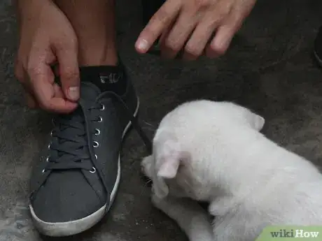 Image titled Make a Puppy Happy Step 13