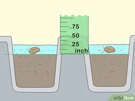 Image titled Plant Angel Trumpet Seeds Step 10