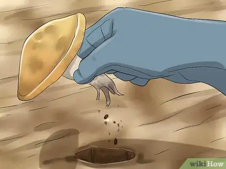 Image titled Remove Health Hazards from Your Backyard Step 6