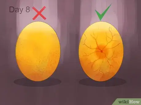 Image titled Make a Simple Homemade Incubator for Chicks Step 10